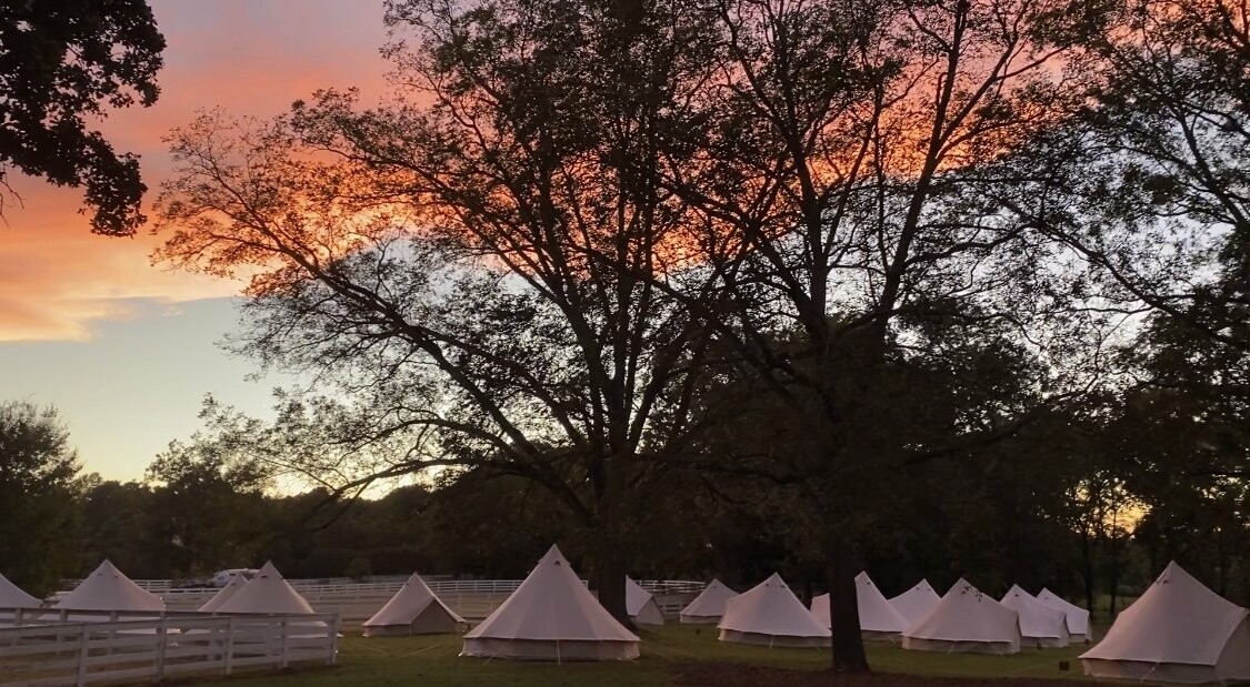 311173504_569597424964667_2616817398981620441_n